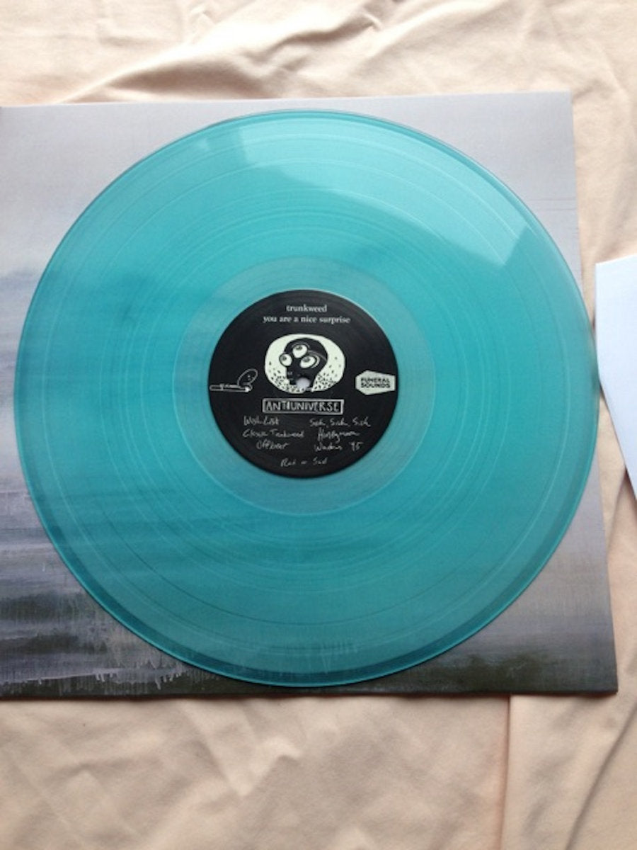 You are a nice surprise Vinyl