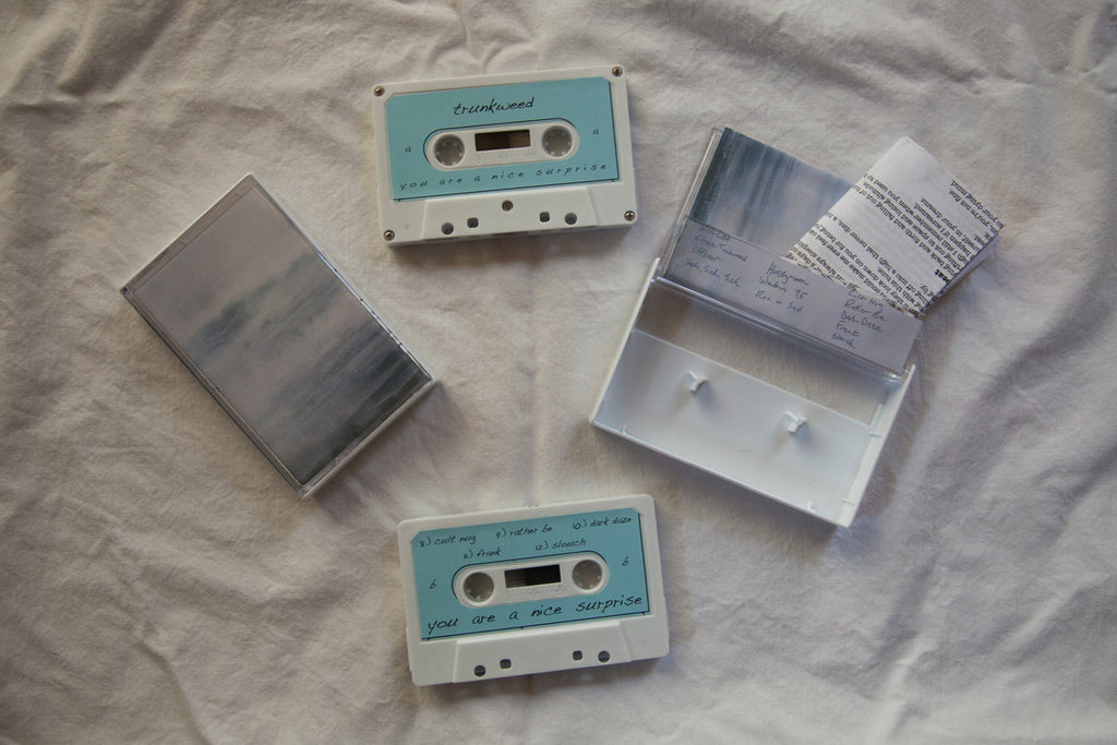 You are a nice surprise cassette