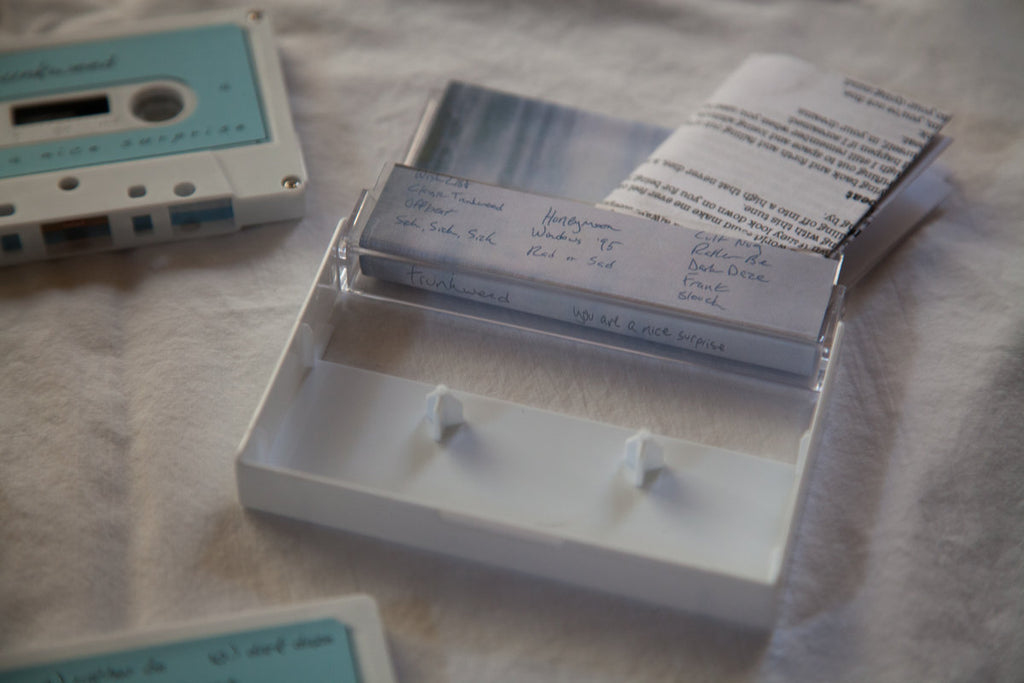You are a nice surprise cassette