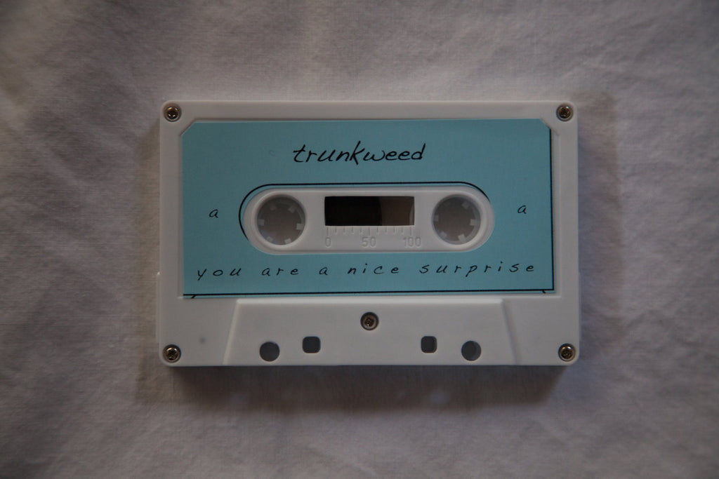 You are a nice surprise cassette